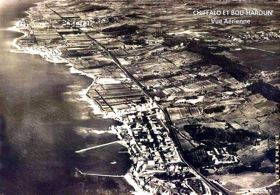 Chiffalo et Bou-Haroun - Vue aerienne.jpg